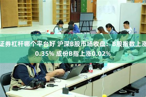 证券杠杆哪个平台好 沪深B股市场收盘：B股指数上涨0.35%