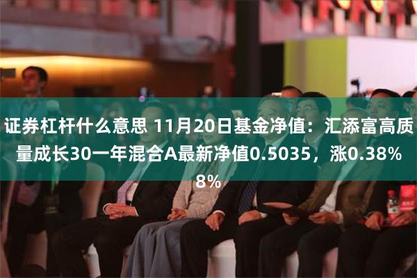 证券杠杆什么意思 11月20日基金净值：汇添富高质量成长30