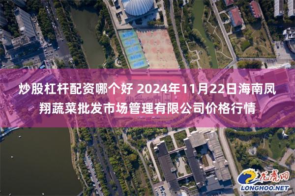 炒股杠杆配资哪个好 2024年11月22日海南凤翔蔬菜批发市