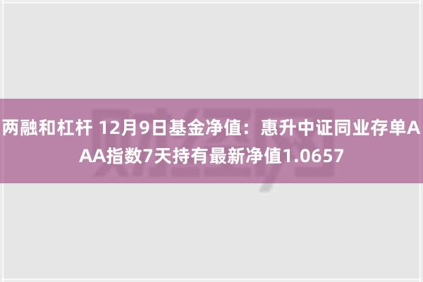 两融和杠杆 12月9日基金净值：惠升中证同业存单AAA指数7