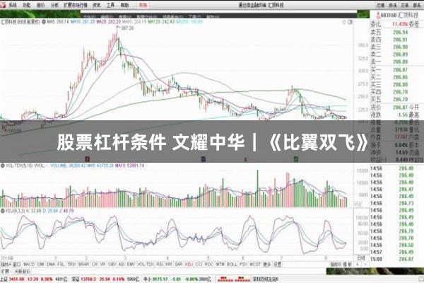 股票杠杆条件 文耀中华｜《比翼双飞》