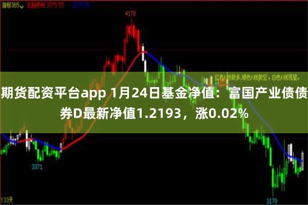 期货配资平台app 1月24日基金净值：富国产业债债券D最新