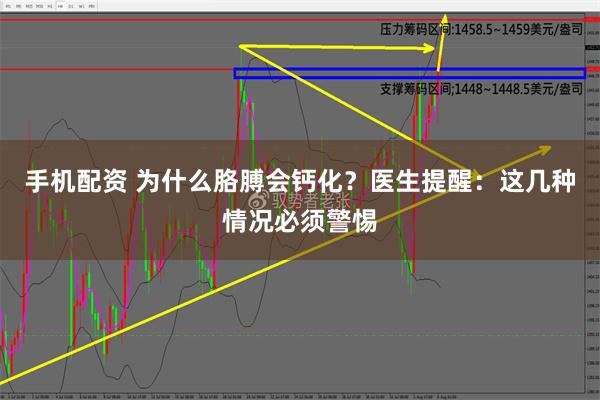 手机配资 为什么胳膊会钙化？医生提醒：这几种情况必须警惕